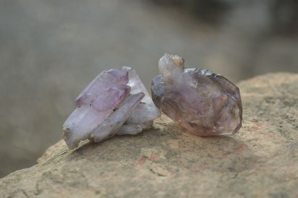 Natural Window Amethyst Sceptre Crystals  x 35 From Chiredzi, Zimbabwe - Toprock Gemstones and Minerals 