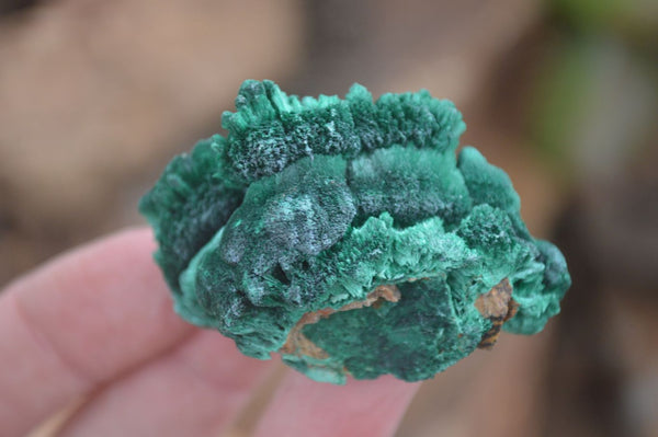 Natural Chatoyant Silky Malachite Specimens  x 13 From Kasompe, Congo - Toprock Gemstones and Minerals 