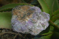 Natural Rough Stichtite Cobbed Specimens x 3 From Barberton, South Africa - Toprock Gemstones and Minerals 