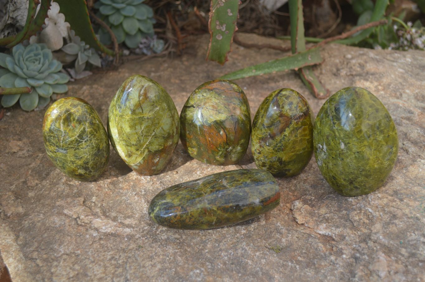 Polished Green Opal Standing Free Forms  x 6 From Madagascar - Toprock Gemstones and Minerals 