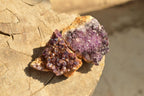 Natural Small Dark "Amethystos" Amethyst Clusters x 35 From Kwaggafontein, South Africa - TopRock
