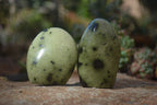 Polished Leopard Stone Free Forms  x 12 From Zimbabwe - Toprock Gemstones and Minerals 