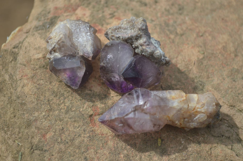 Natural Window Amethyst Sceptre Crystals  x 35 From Chiredzi, Zimbabwe - Toprock Gemstones and Minerals 
