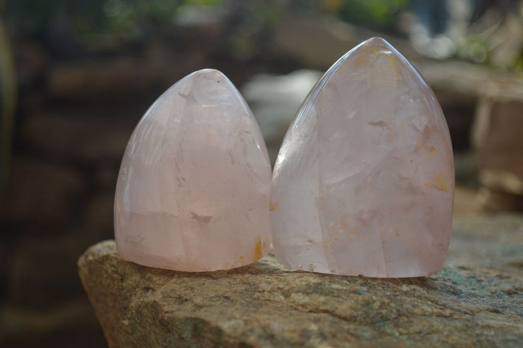 Polished Gemmy Rose Quartz Standing Free Forms x 6 From Ambatondrazaka, Madagascar - Toprock Gemstones and Minerals 