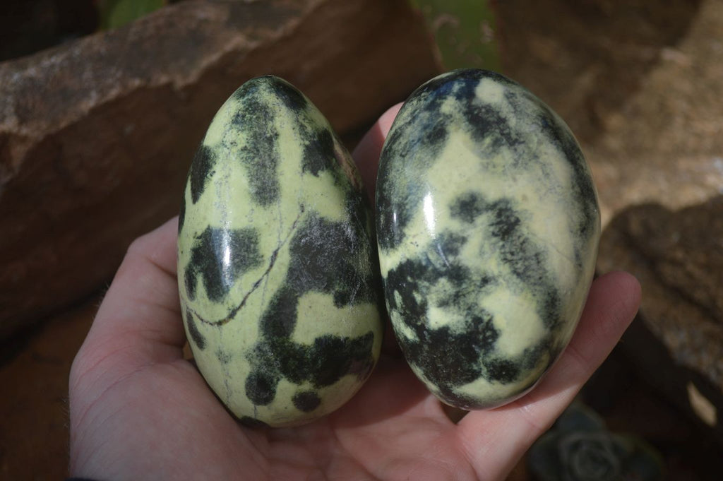 Polished Leopard Stone Free Forms  x 6 From Zimbabwe - Toprock Gemstones and Minerals 