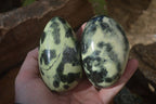 Polished Leopard Stone Free Forms  x 6 From Zimbabwe - Toprock Gemstones and Minerals 