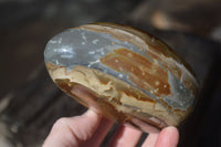 Polished Polychrome / Picasso Jasper Standing Free Forms  x 3 From Madagascar - Toprock Gemstones and Minerals 