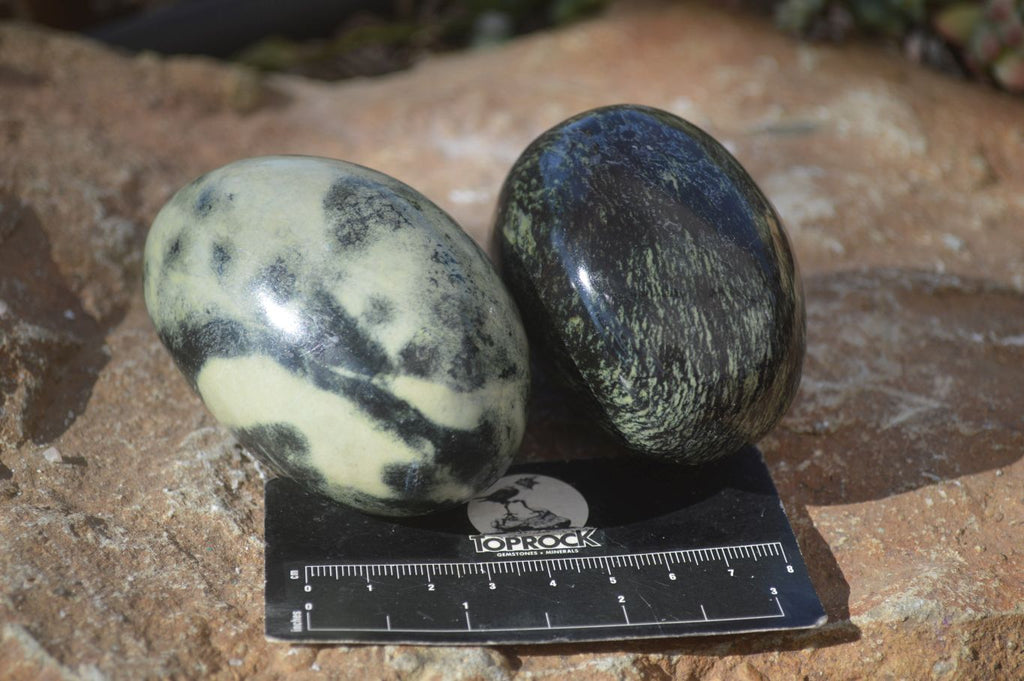 Polished Leopard Stone Free Forms  x 6 From Zimbabwe - Toprock Gemstones and Minerals 