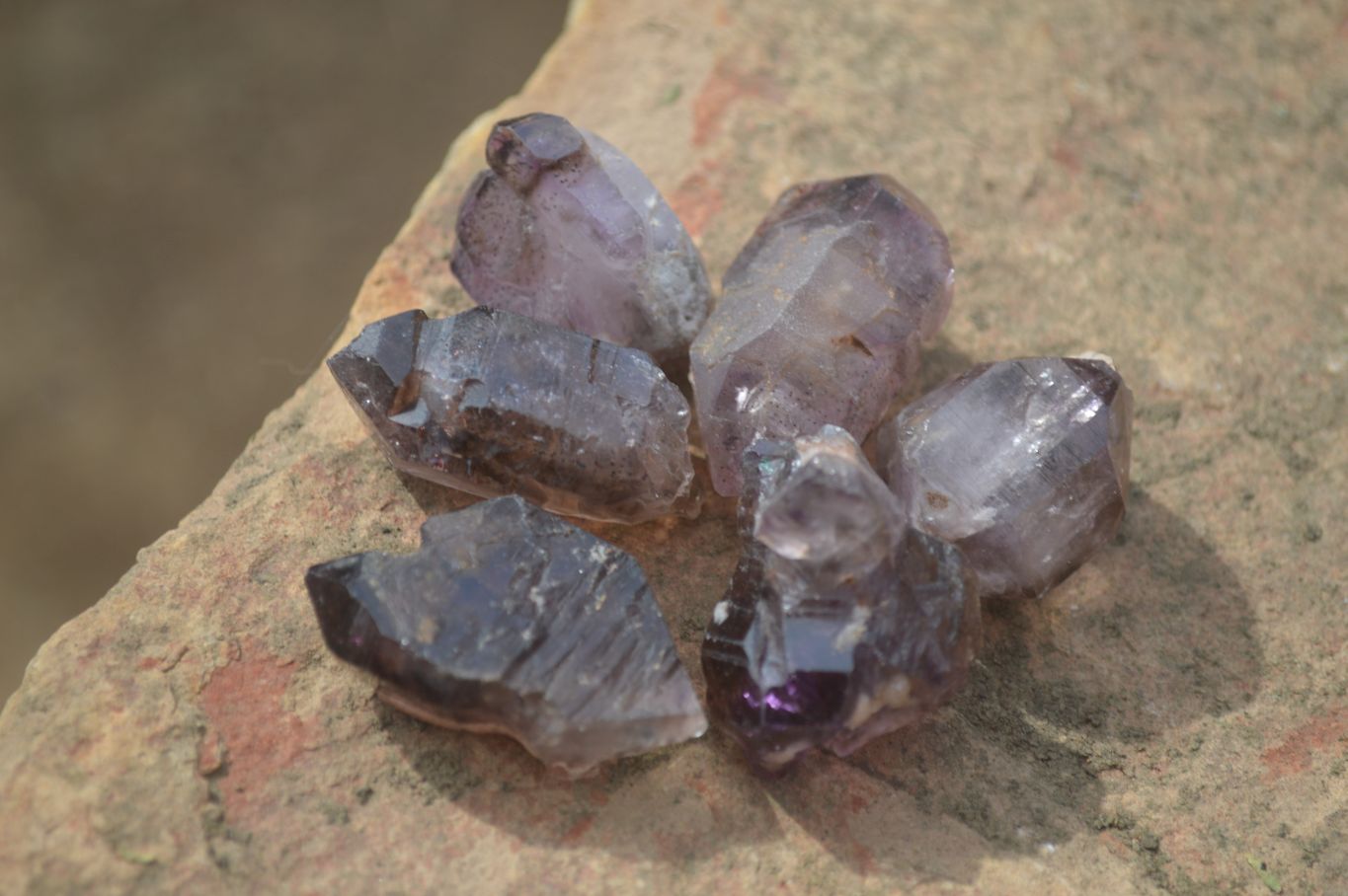 Natural Window Amethyst Sceptre Crystals  x 35 From Chiredzi, Zimbabwe - Toprock Gemstones and Minerals 