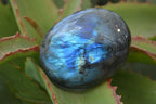 Polished Flashy Labradorite Palm Stones  x 12 From Tulear, Madagascar - Toprock Gemstones and Minerals 