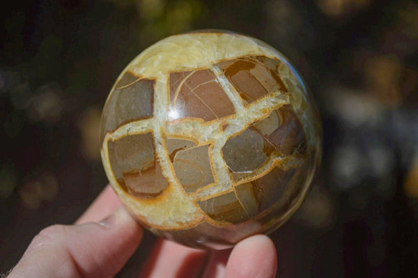 Polished Gorgeous Septerye Spheres x 4 From Madagascar - Toprock Gemstones and Minerals 