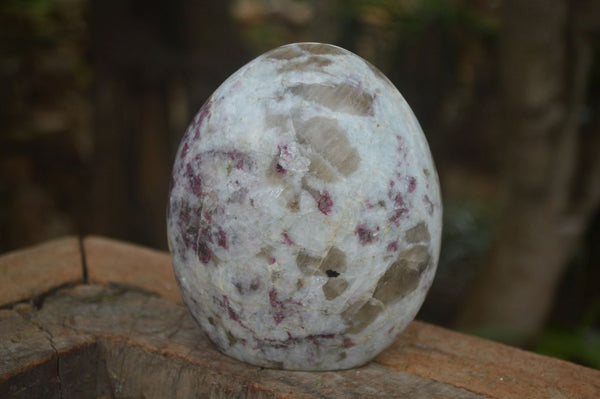 Polished Pink Tourmaline / Rubellite In Matrix Standing Free Form x 1 From Ambatondrazaka, Madagascar - Toprock Gemstones and Minerals 