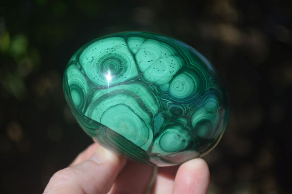 Polished Flower Banded Malachite Eggs  x 2 From Congo - Toprock Gemstones and Minerals 