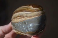 Polished Polychrome / Picasso Jasper Standing Free Forms  x 3 From Madagascar - Toprock Gemstones and Minerals 