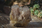 Natural Cascading Smokey Quartz Clusters x 3 From Luena, Congo - Toprock Gemstones and Minerals 