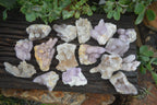 Natural Mixed Spirit Quartz Clusters  x 24 From Boekenhouthoek, South Africa - TopRock