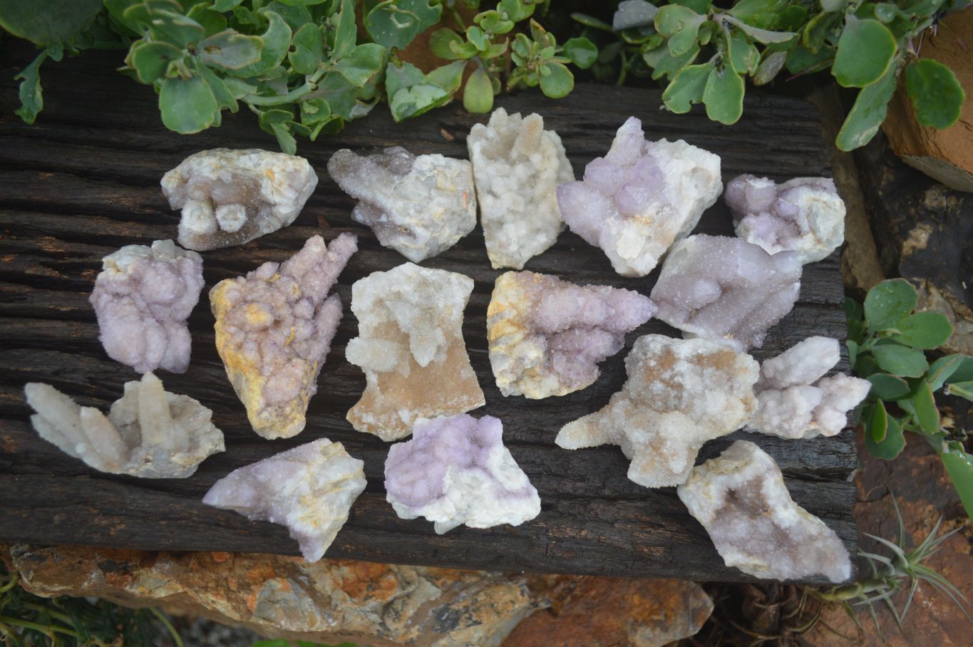 Natural Mixed Spirit Quartz Clusters  x 24 From Boekenhouthoek, South Africa - TopRock