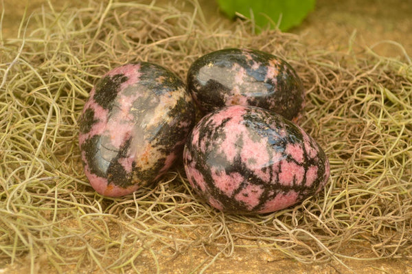 Polished Small Pink & Black Rhodonite Eggs  x 6 From Madagascar - TopRock