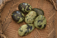 Polished  Spotted Leopard Stone Gallets  x 6 From Zimbabwe - Toprock Gemstones and Minerals 