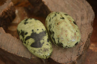 Polished  Spotted Leopard Stone Gallets  x 6 From Zimbabwe - Toprock Gemstones and Minerals 