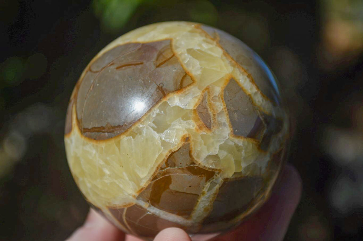 Polished Gorgeous Septerye Spheres x 4 From Madagascar - Toprock Gemstones and Minerals 