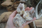 Natural Mixed Spirit Quartz Clusters  x 24 From Boekenhouthoek, South Africa - TopRock