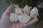 Natural Highly Selected Pineapple Candle Quartz Crystals  x 24 From Madagascar - Toprock Gemstones and Minerals 