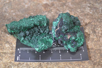 Natural Chatoyant Silky Malachite Specimens  x 6 From Kasompe, Congo - Toprock Gemstones and Minerals 