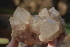 Natural Cascading Smokey Quartz Clusters x 3 From Luena, Congo - Toprock Gemstones and Minerals 