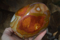 Polished Polychrome / Picasso Jasper Standing Free Forms  x 3 From Madagascar - Toprock Gemstones and Minerals 