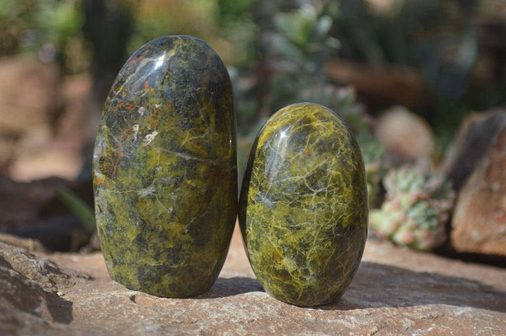 Polished Green Opal Standing Free Forms  x 6 From Madagascar - Toprock Gemstones and Minerals 