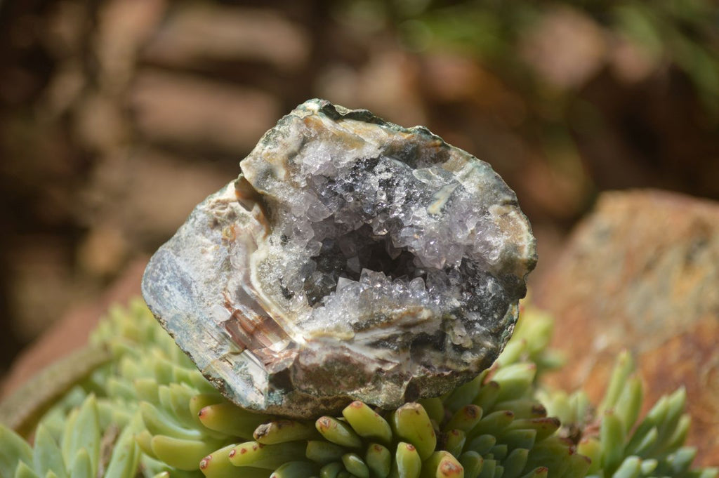 Centered Rocks Natural Amethyst & Crystal Centered Geodes x 12 From Zululand, South A ...