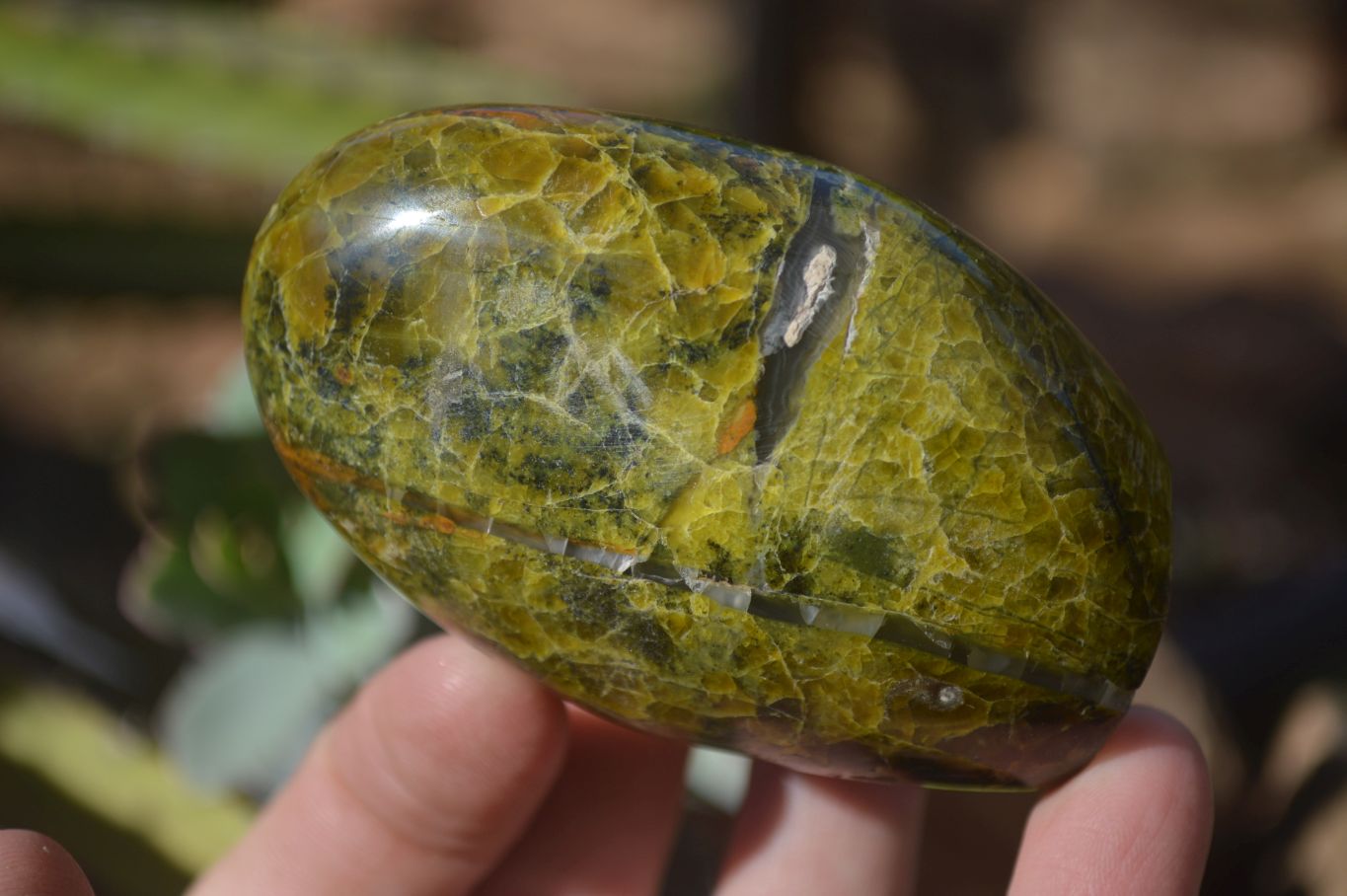 Polished Green Opal Standing Free Forms  x 6 From Madagascar - Toprock Gemstones and Minerals 