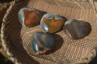 Polished Polychrome Jasper Hearts  x 12 From Madagascar