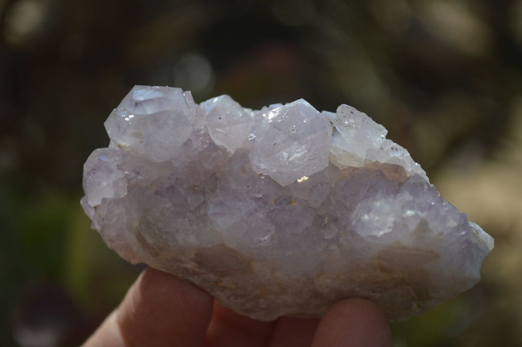 Natural Spirit Quartz Clusters x 12 From Boekenhouthoek, South Africa - Toprock Gemstones and Minerals 