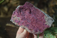 Natural Salrose Cobaltion Dolomite Specimens x 4 From Kakanda, Congo - Toprock Gemstones and Minerals 