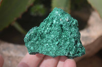 Natural Chatoyant Silky Malachite Specimens  x 6 From Kasompe, Congo - Toprock Gemstones and Minerals 