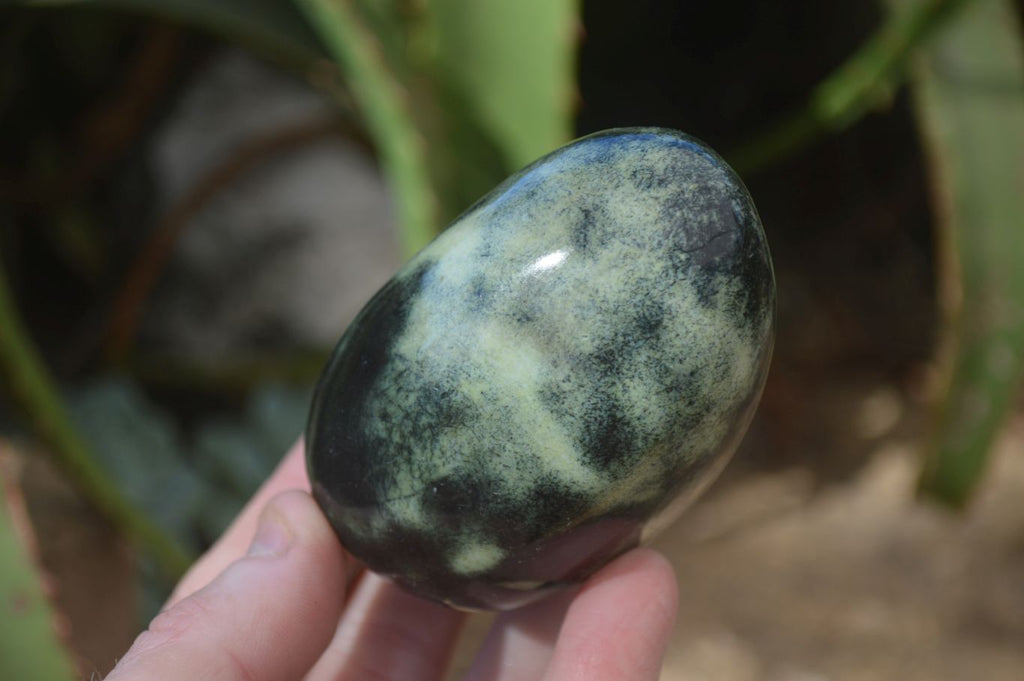 Polished Leopard Stone Free Forms  x 6 From Zimbabwe - Toprock Gemstones and Minerals 