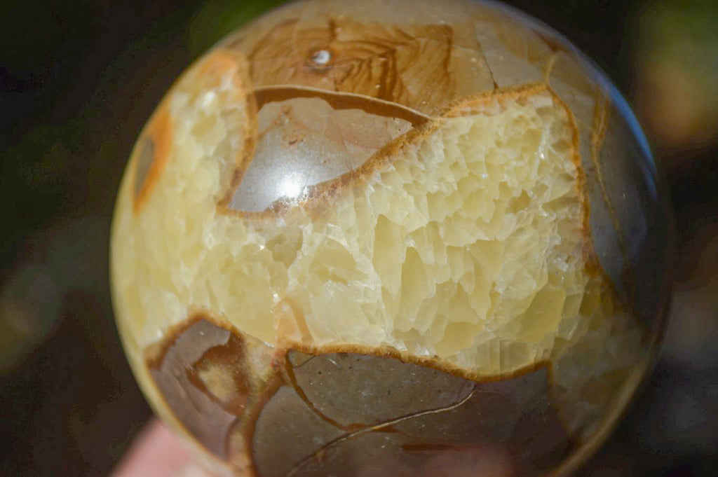 Polished Gorgeous Septerye Spheres x 4 From Madagascar - Toprock Gemstones and Minerals 
