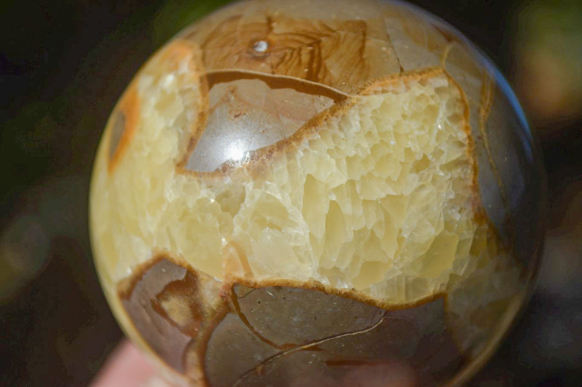 Polished Gorgeous Septerye Spheres x 4 From Madagascar - Toprock Gemstones and Minerals 