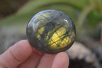 Polished Flashy Labradorite Palm Stones  x 12 From Tulear, Madagascar - Toprock Gemstones and Minerals 