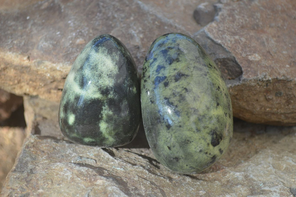 Polished Leopard Stone Free Forms  x 6 From Zimbabwe - Toprock Gemstones and Minerals 