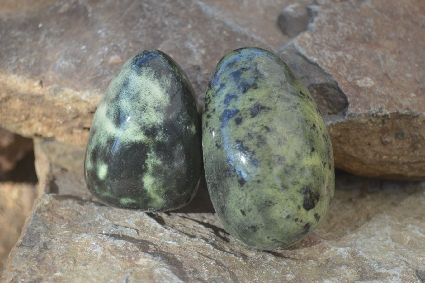 Polished Leopard Stone Free Forms  x 6 From Zimbabwe - Toprock Gemstones and Minerals 
