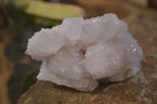 Natural Pale Lilac Spirit Quartz Clusters x 12 From Boekenhouthoek, South Africa - Toprock Gemstones and Minerals 