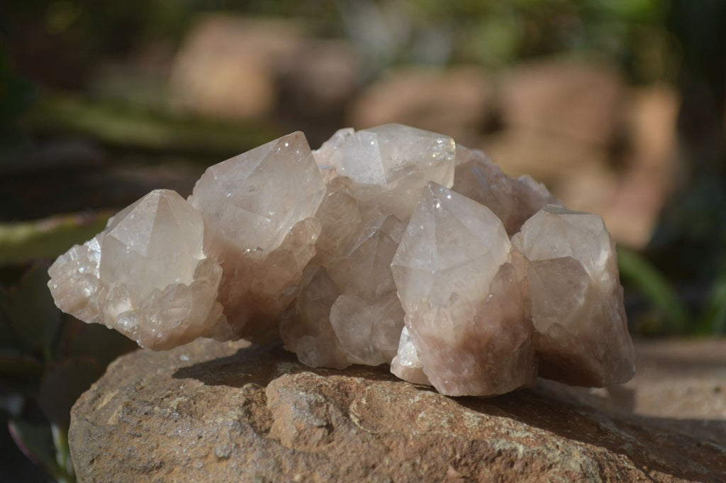 Natural Cascading White Phantom Smokey Quartz Clusters x 6 From Luena, Congo - Toprock Gemstones and Minerals 