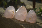 Polished Gemmy Rose Quartz Standing Free Forms x 6 From Ambatondrazaka, Madagascar - Toprock Gemstones and Minerals 
