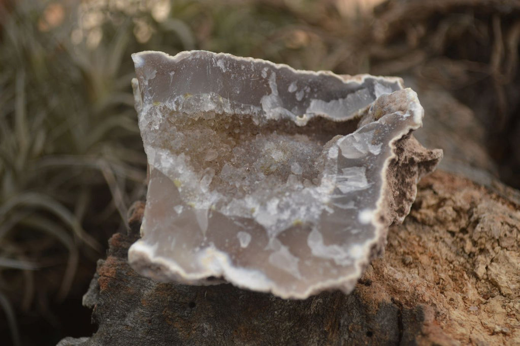 Centered Rocks Natural Amethyst & Crystal Centered Geodes x 12 From Zululand, South A ...