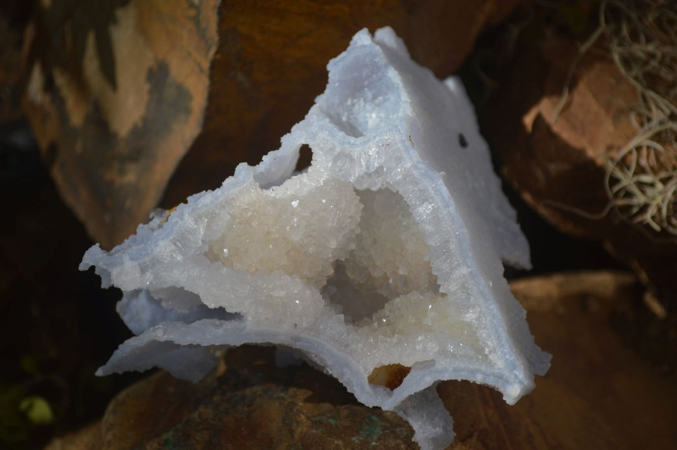 Natural Etched Blue Chalcedony Specimens  x 7 From Nsanje, Malawi - Toprock Gemstones and Minerals 