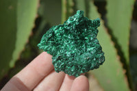 Natural Chatoyant Silky Malachite Specimens  x 6 From Kasompe, Congo - Toprock Gemstones and Minerals 