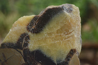 Polished Septaria (Calcite & Aragonite) Slices  x 6 From Mahajanga, Madagascar - TopRock